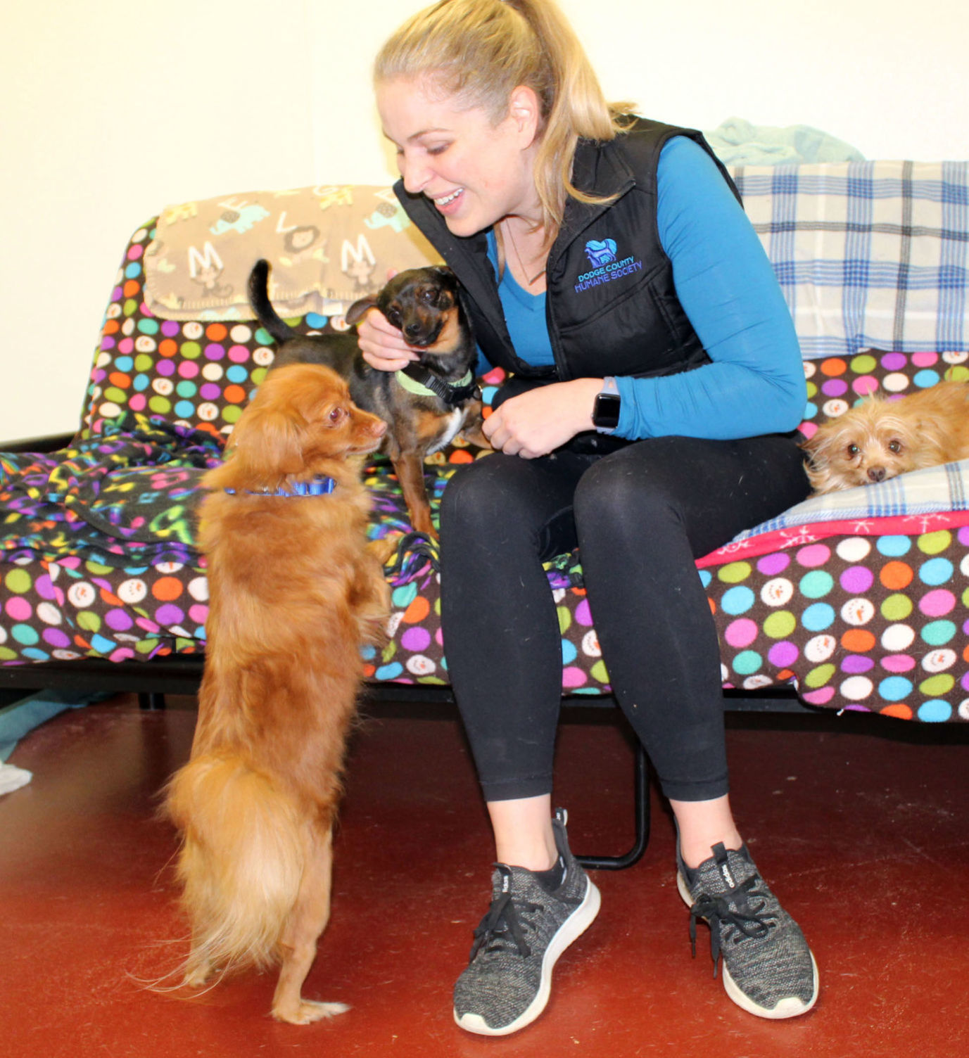 Dodge County Humane Society Director Kensie Drinkwater